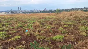 Terreno Jardim Esperanza, Rio Verde - GO — foto 1