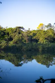 Imagem 2 - Chácara em Zona Rural, Rio Verde - GO