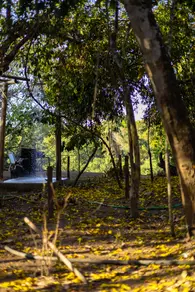 Imagem 5 - Chácara em Zona Rural, Rio Verde - GO