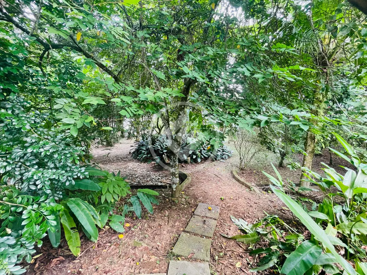 Imagem 3 - Casa em Riviera, Bertioga - SP