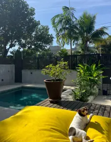 Imagem 2 - Casa em Barra do Una, São Sebastião - SP