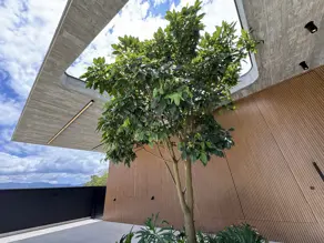 Imagem 2 - Casa em Riviera, Bertioga - SP