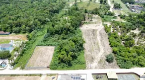 Imagem 4 - Terreno em Jardim Carolina, Ubatuba - SP
