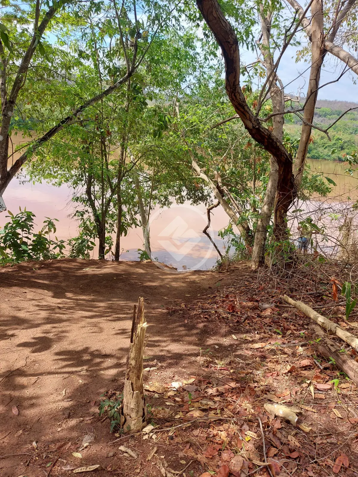 Imagem 4 - Chácara em Zona Rural, Rondonópolis - MT