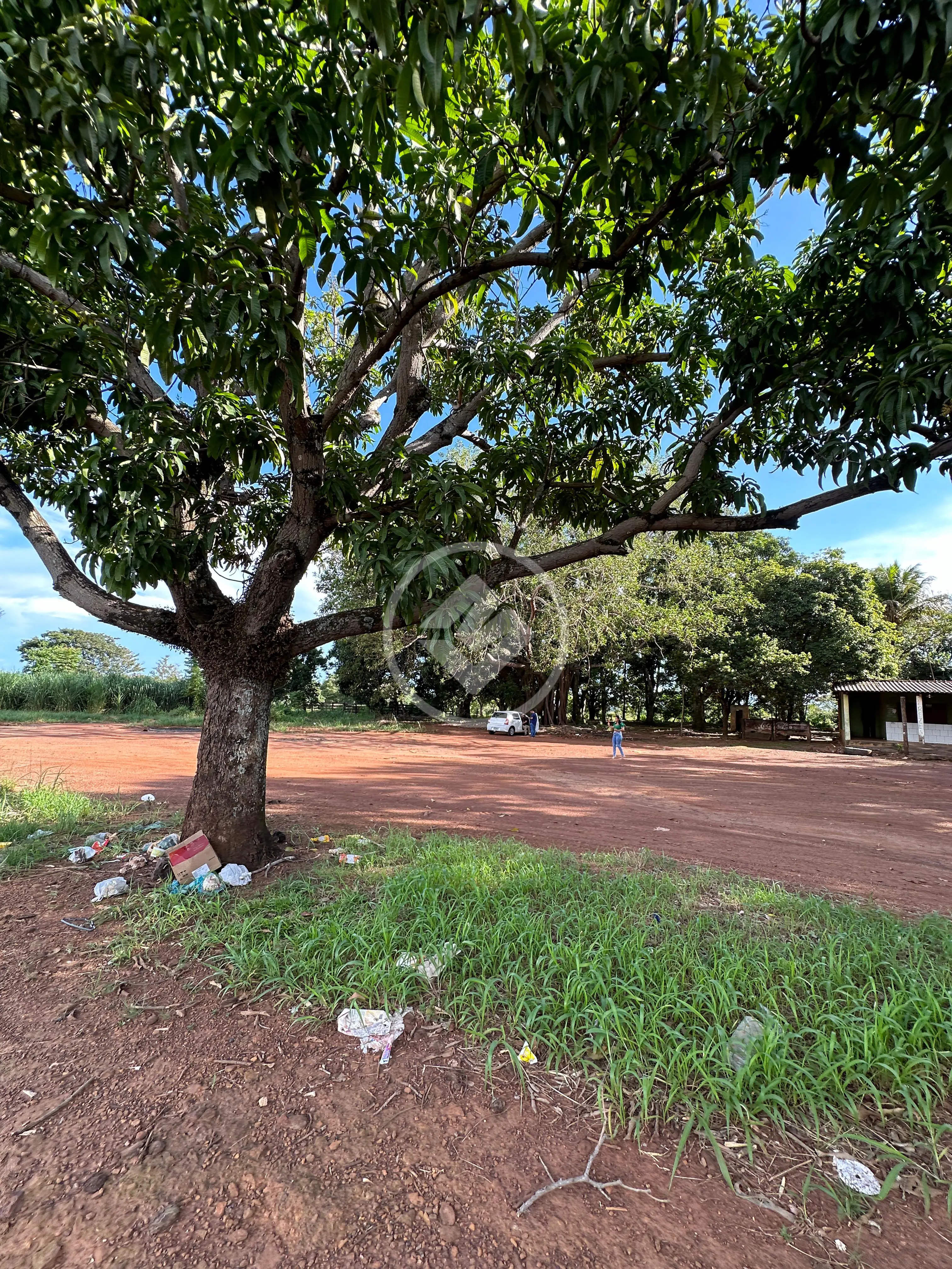Imagem 2 - Terreno Comercial em SANTA RITA, Jaciara - MT