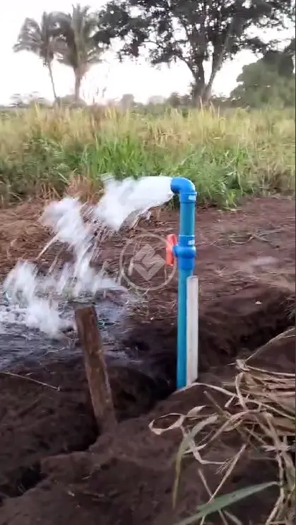 Imagem 1 - Chácara em Zona Rural, Rondonópolis - MT