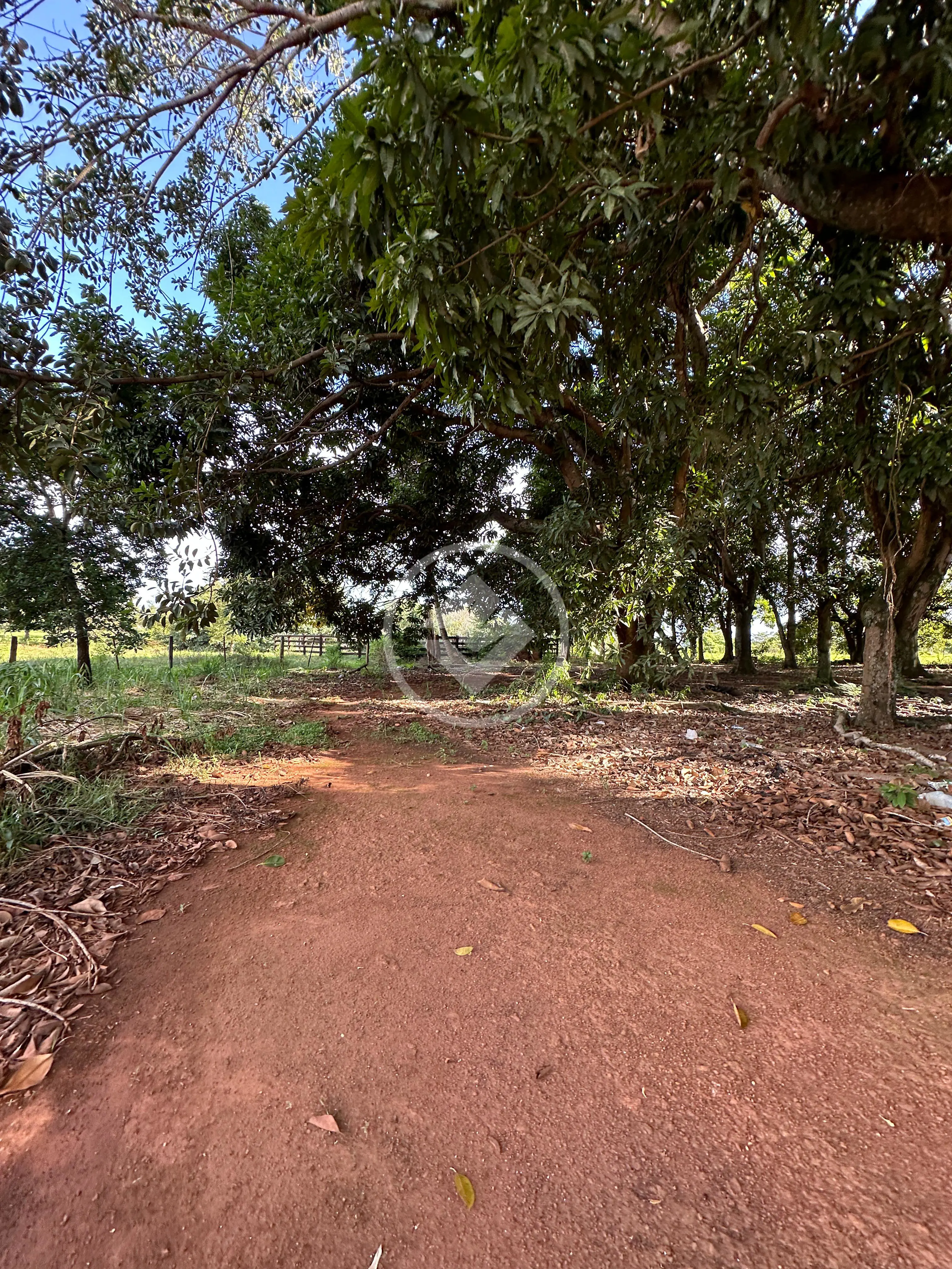 Imagem 5 - Terreno Comercial em SANTA RITA, Jaciara - MT