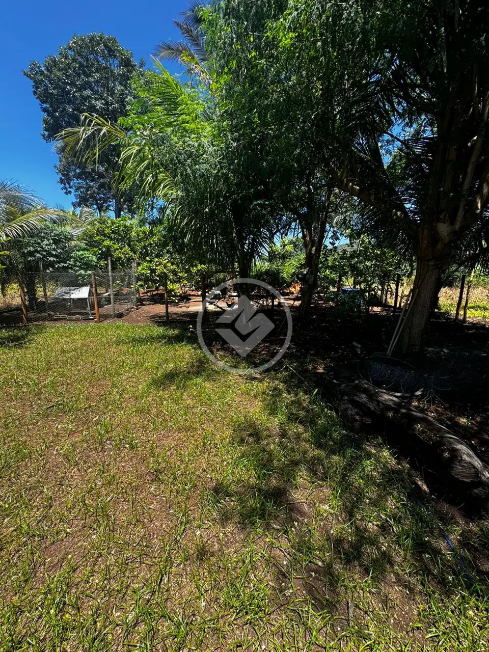 Imagem 6 - Chácara em Área Rural de Rondonópolis, Rondonópolis - MT