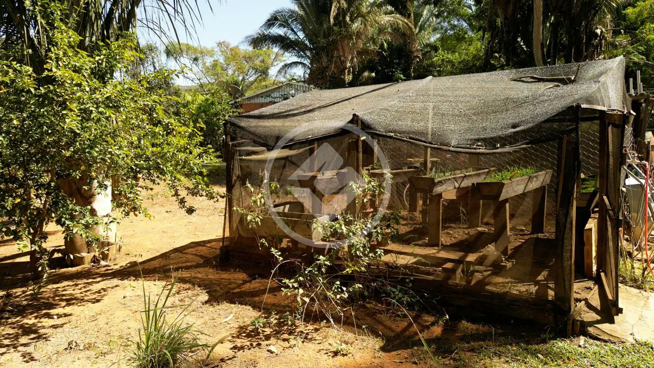 Imagem 3 - Chácara em ZONA RURAL, Juscimeira - MT