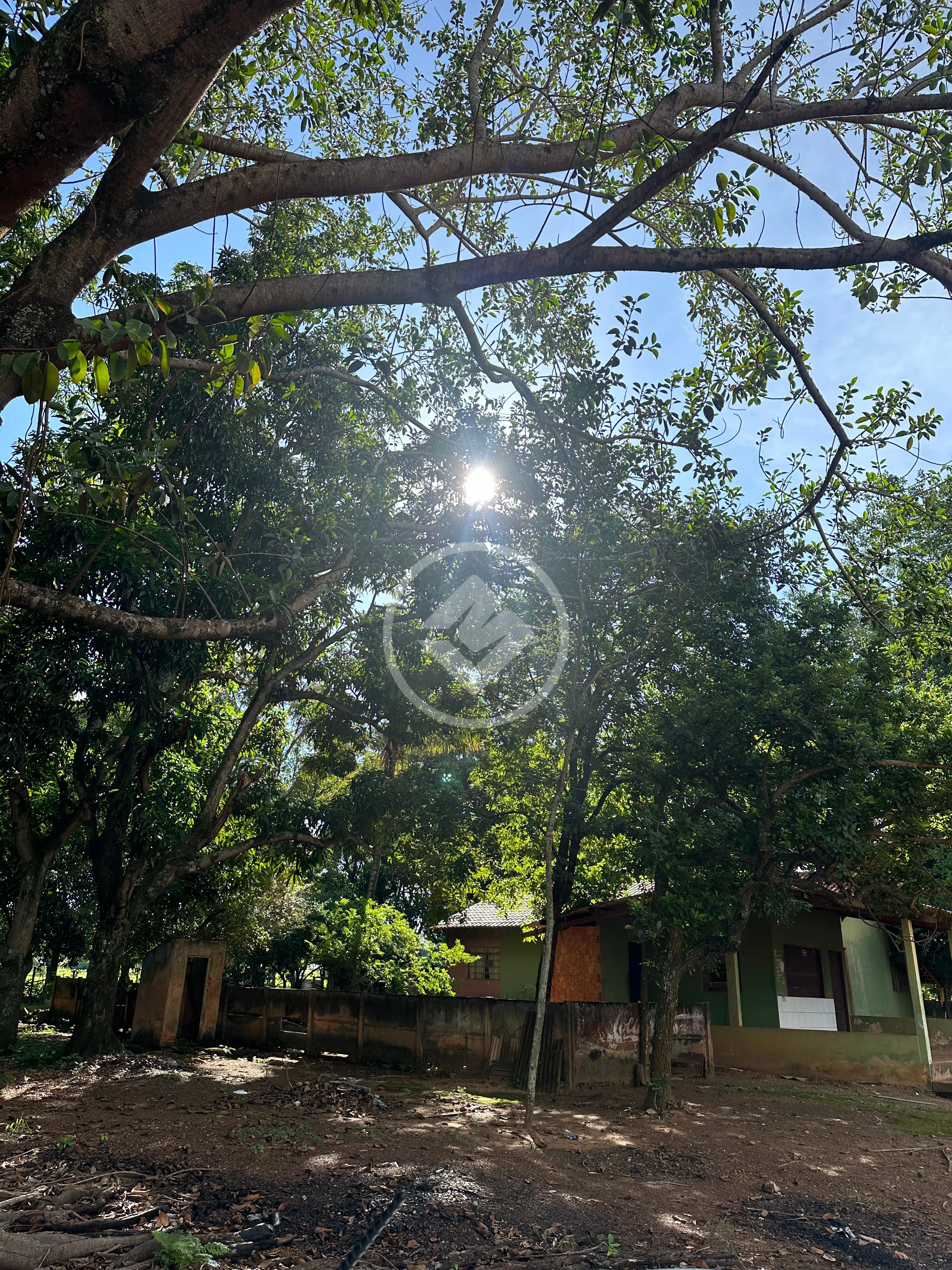 Imagem 4 - Terreno Comercial em SANTA RITA, Jaciara - MT