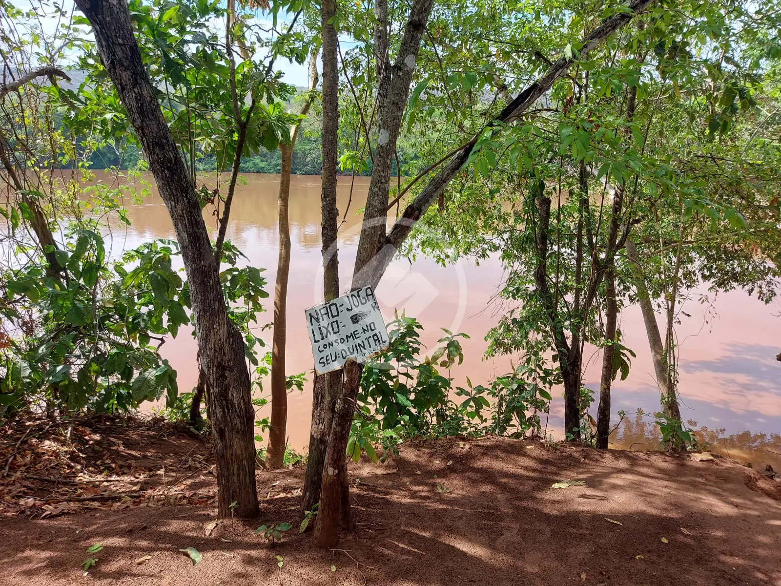Imagem 6 - Chácara em Zona Rural, Rondonópolis - MT
