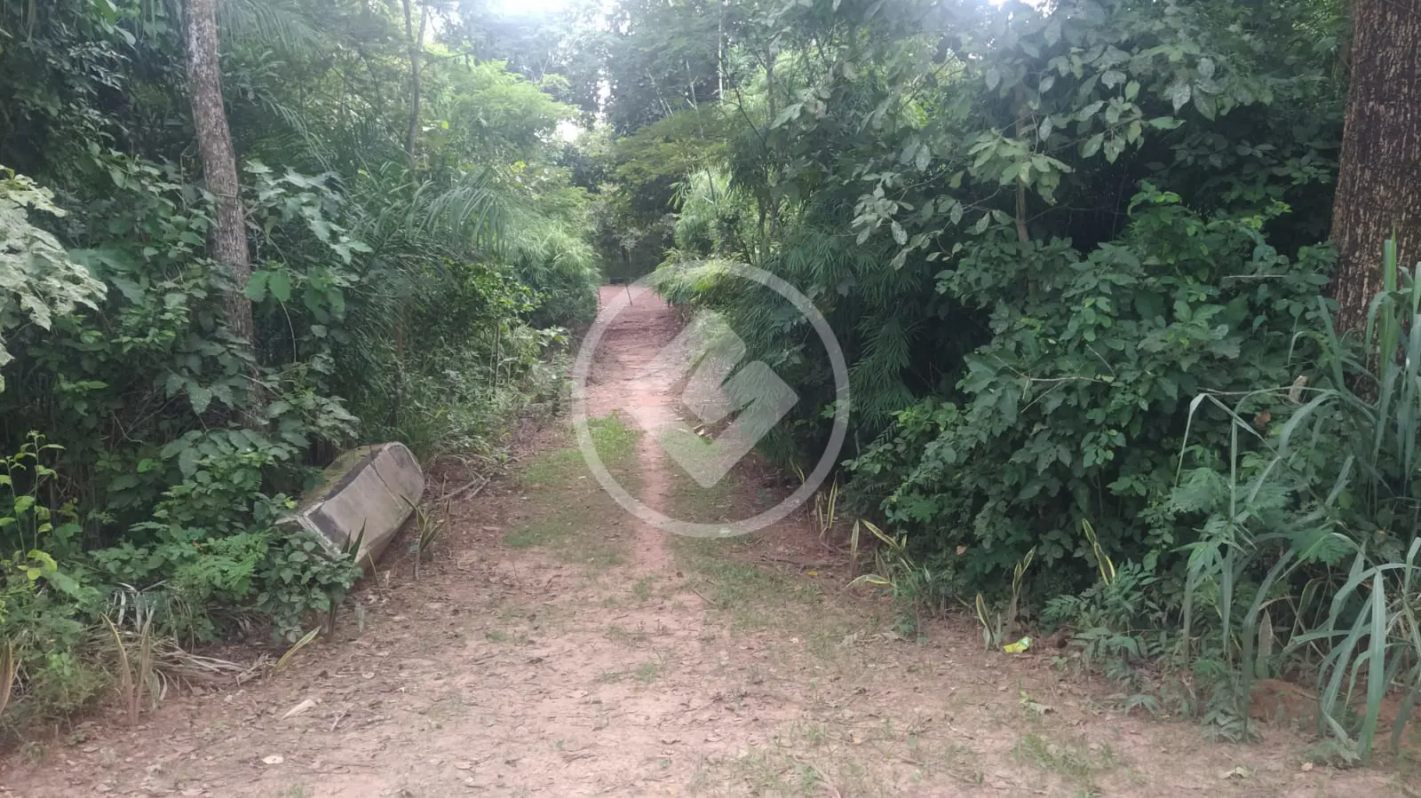 Imagem 2 - Chácara em Zona Rural, Rondonópolis - MT