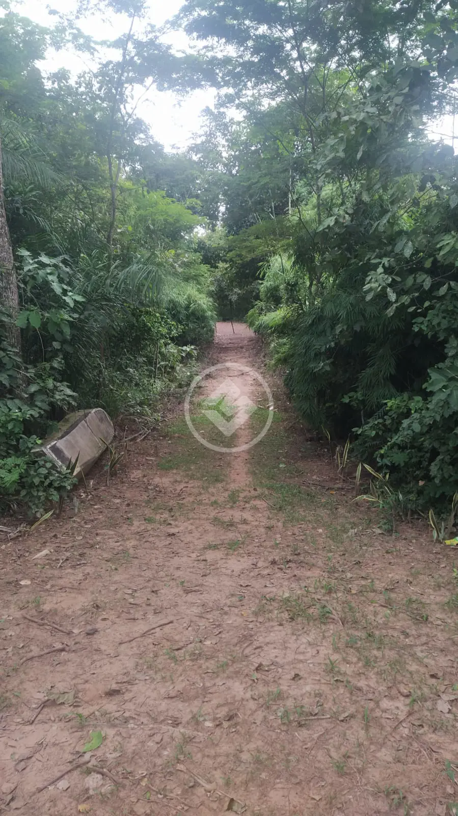 Imagem 3 - Chácara em Zona Rural, Rondonópolis - MT