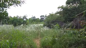 Imagem 5 - Chácara em Área Rural de Rondonópolis, Rondonópolis - MT