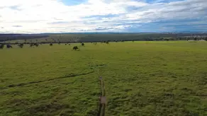Fazenda VERDE TETO, Rondonópolis - MT — foto 1