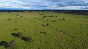 Fazenda VERDE TETO, Rondonópolis - MT — foto 2
