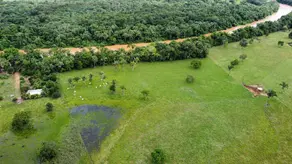 Imagem 4 - Fazenda em Vila Aurora II, Rondonópolis - MT
