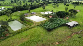 Imagem 5 - Fazenda em Vila Aurora II, Rondonópolis - MT