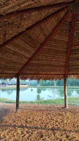 Imagem 6 - Fazenda em Vila Aurora II, Rondonópolis - MT