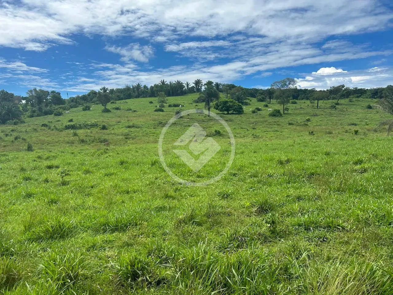 Imagem 1 - Fazenda em Vila Aurora II, Rondonópolis - MT