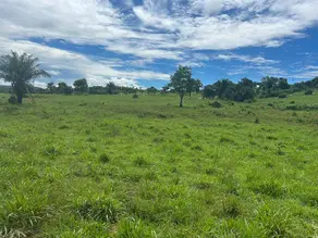 Fazenda Vila Aurora II, Rondonópolis - MT — foto 2