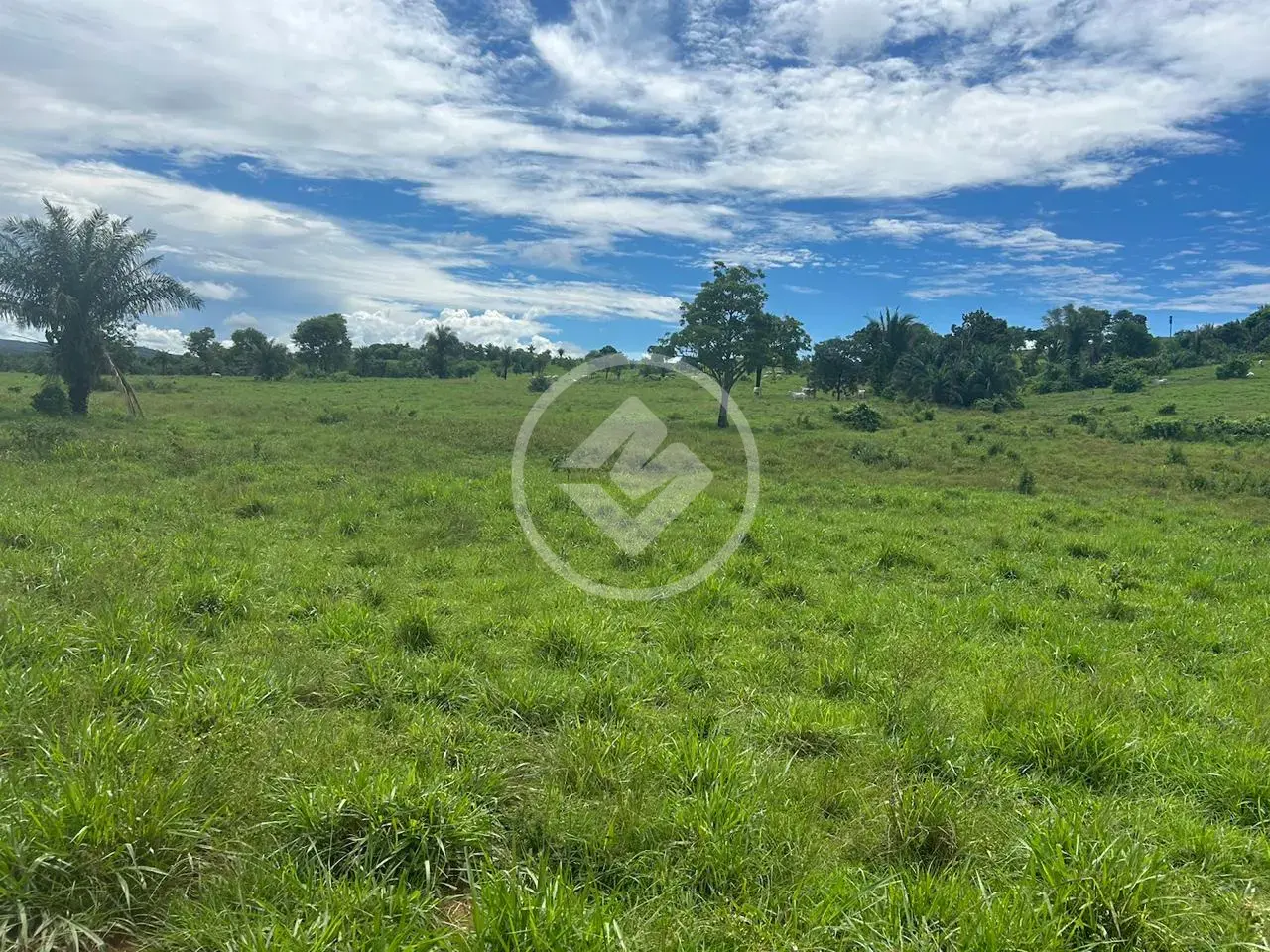 Image 2 - Fazenda em Vila Aurora II, Rondonópolis - MT