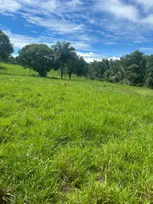 Imagem 3 - Fazenda em Vila Aurora II, Rondonópolis - MT