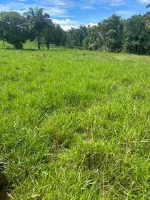 Imagem 4 - Fazenda em Vila Aurora II, Rondonópolis - MT