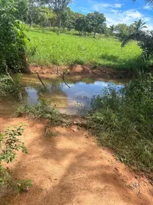 Imagem 6 - Fazenda em Vila Aurora II, Rondonópolis - MT