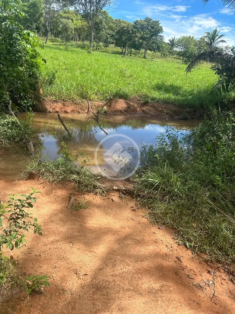 Image 7 - Fazenda em Vila Aurora II, Rondonópolis - MT