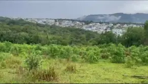 Imagem 5 - Terreno Comercial em Alphaville, Santana de Parnaíba - SP