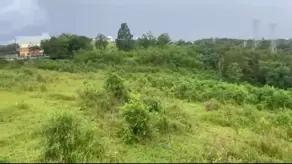 Imagem 4 - Terreno Comercial em Alphaville, Santana de Parnaíba - SP