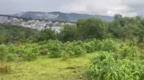 Imagem 6 - Terreno Comercial em Alphaville, Santana de Parnaíba - SP