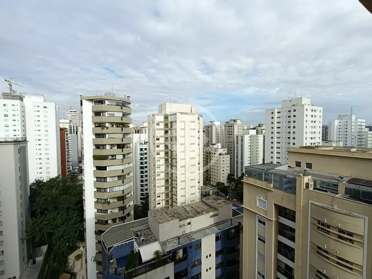 Imagem 3 - Apartamento em Moema, São Paulo - SP