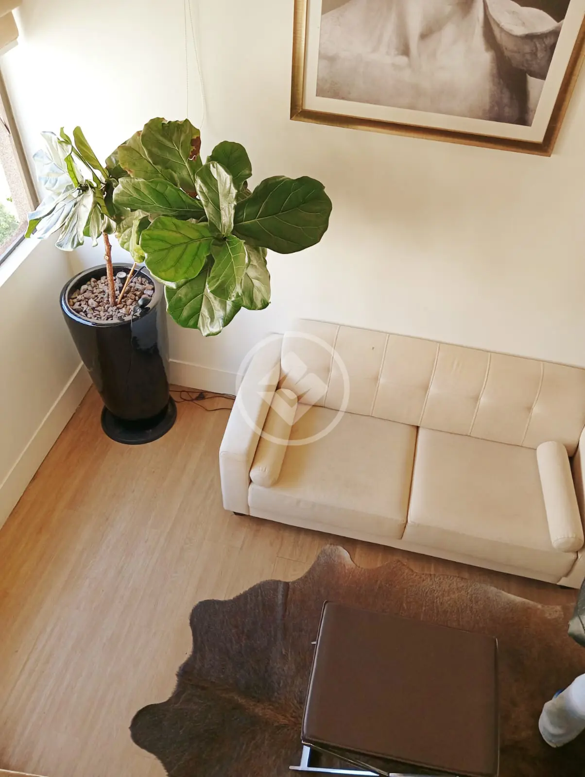 Imagem 3 - Apartamento em Vila Uberabinha, São Paulo - SP