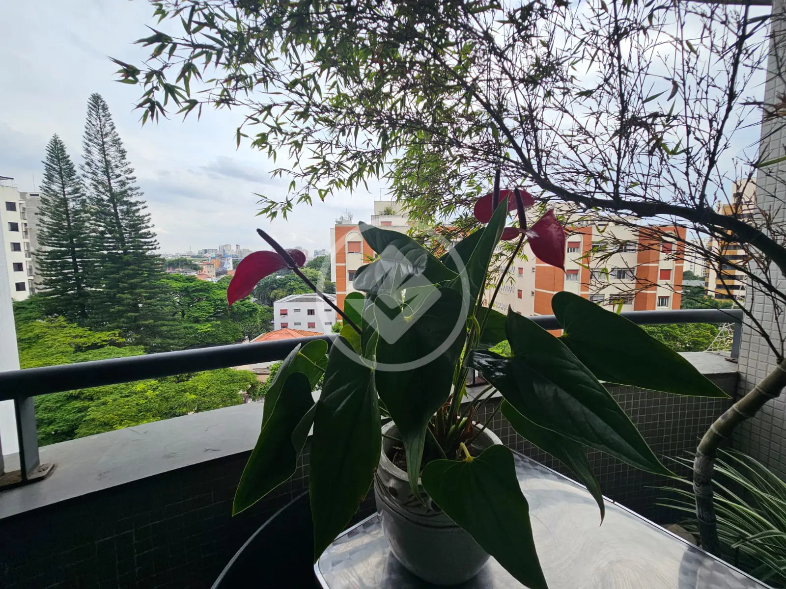 Imagem 6 - Apartamento em Indianópolis, São Paulo - SP