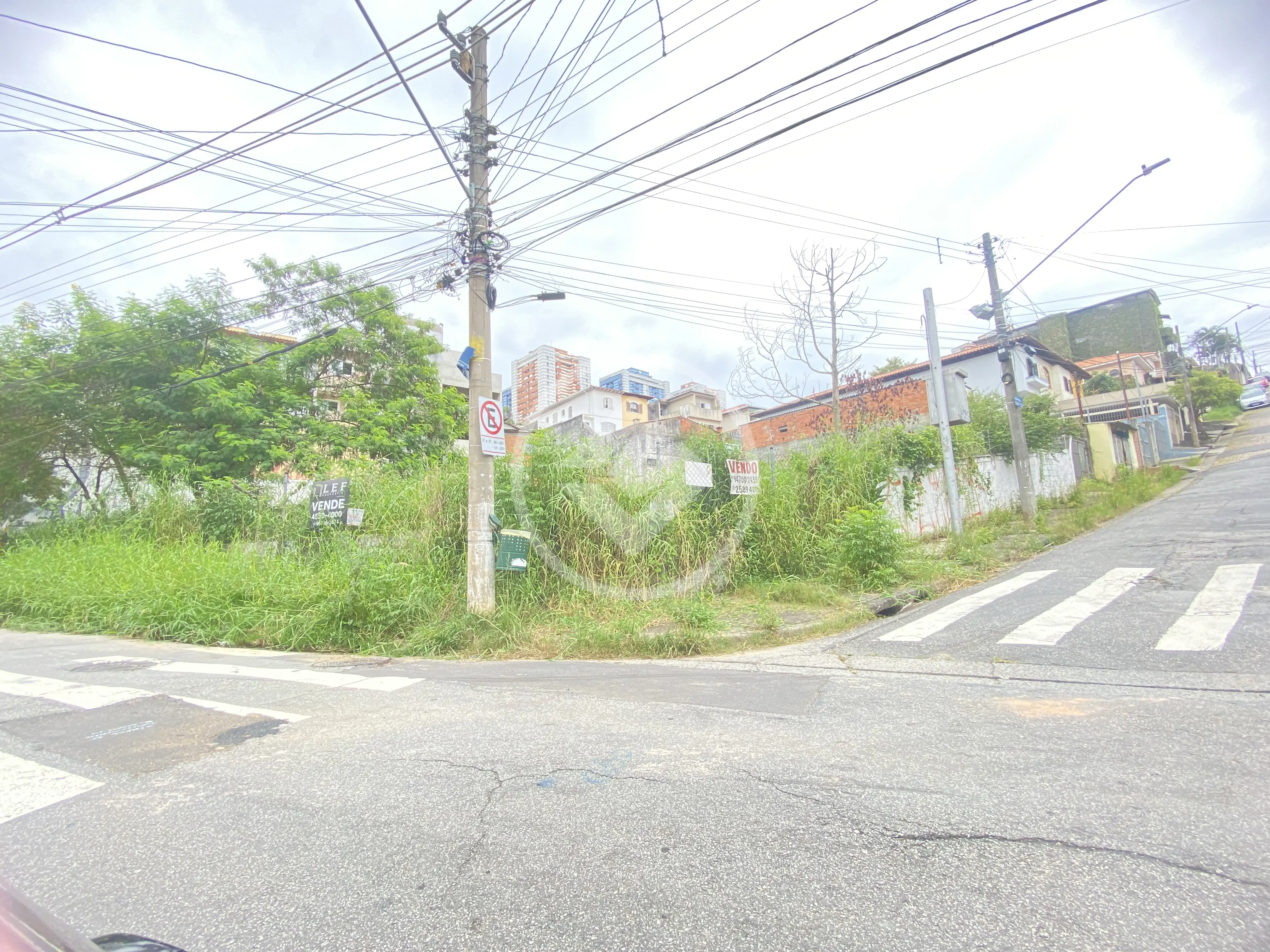Imagem 2 - Terreno em Vila Morse, São Paulo - SP
