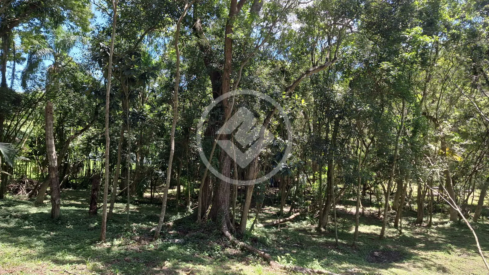 Imagem 3 - Terreno em Caete (Mailasqui), São Roque - SP