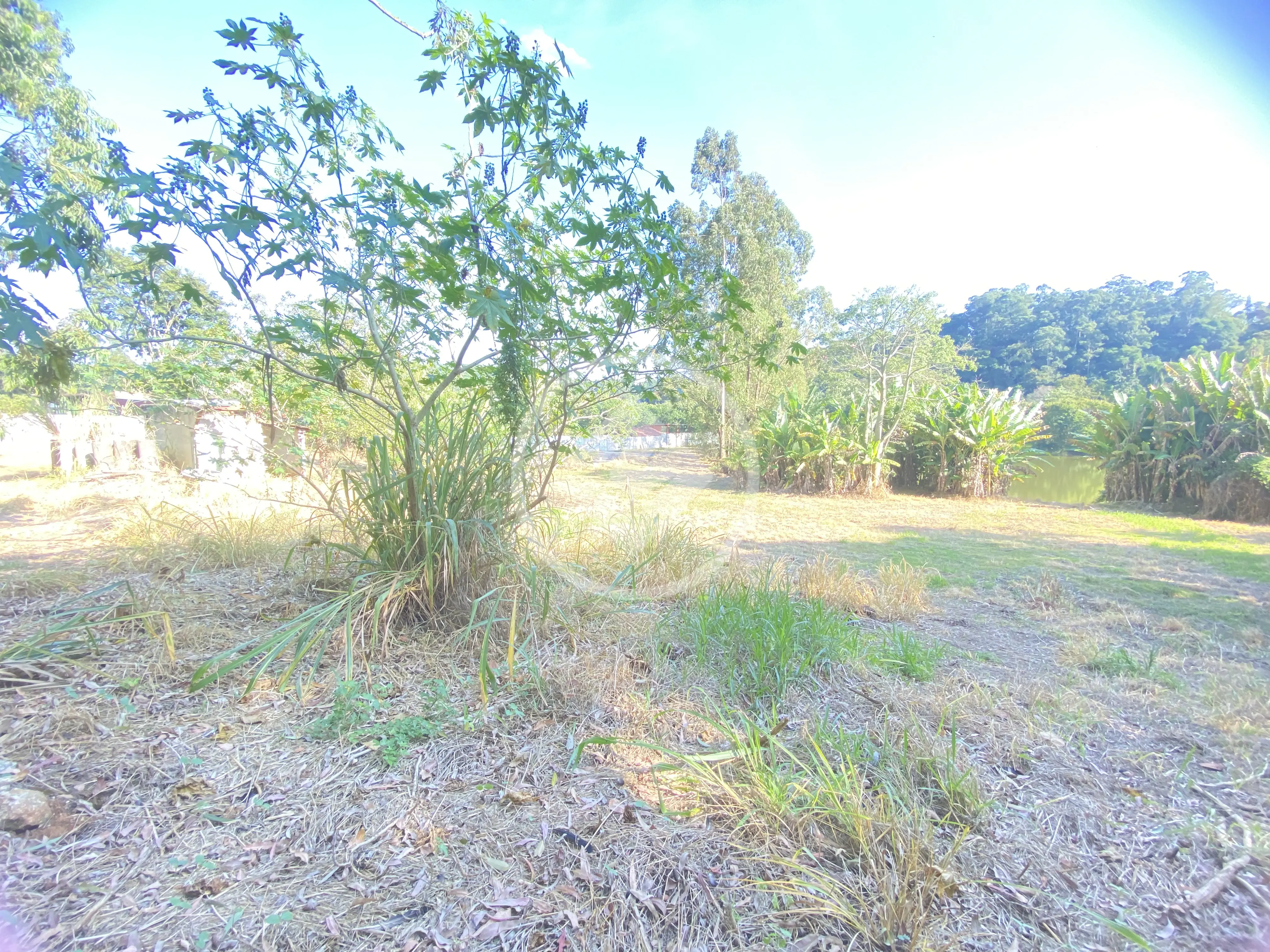 Imagem 5 - Terreno em Parque Dom Henrique, Cotia - SP