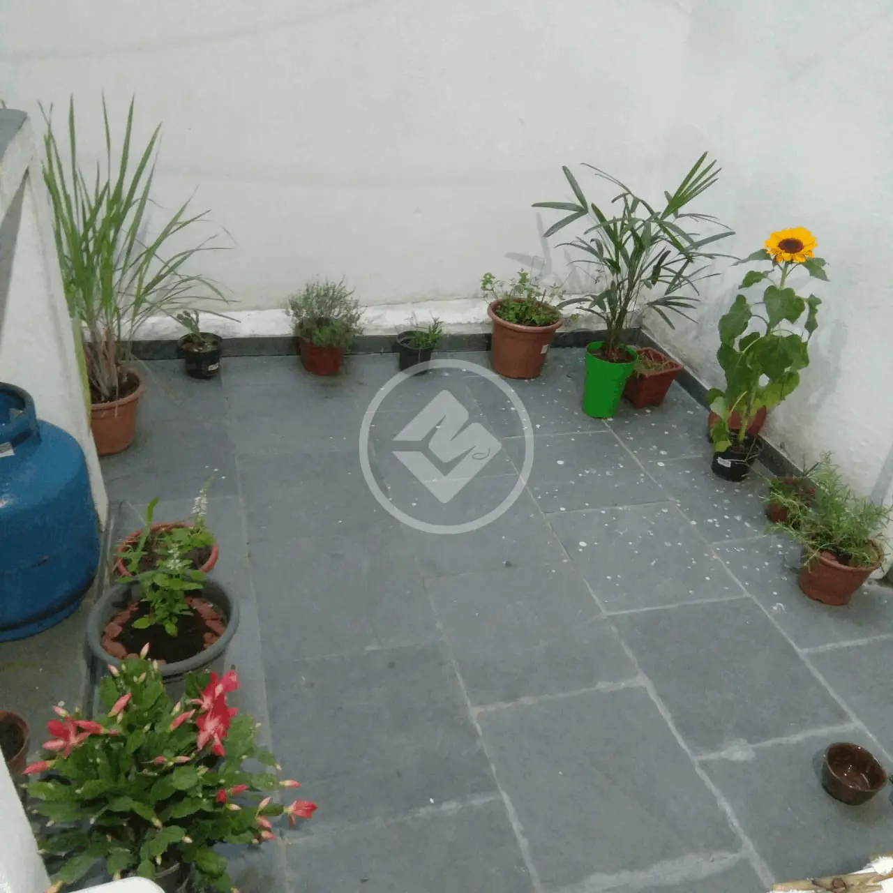 Imagem 2 - Apartamento em CAMBUCI, São Paulo - SP