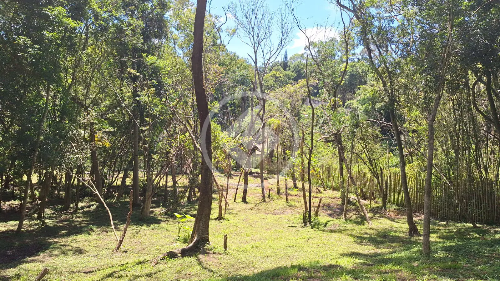 Imagem 4 - Terreno em Caete (Mailasqui), São Roque - SP