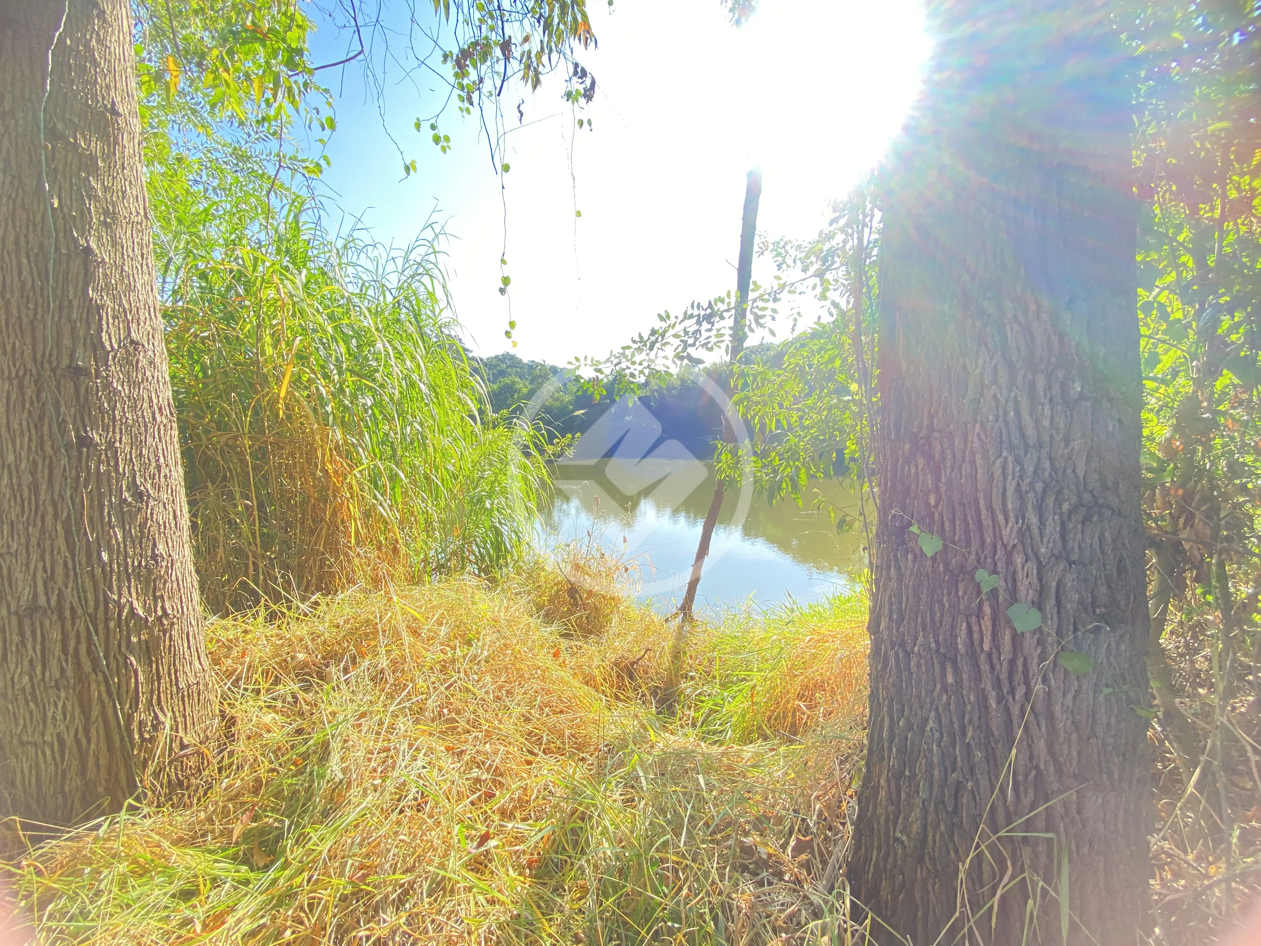Imagem 3 - Terreno em Parque Dom Henrique, Cotia - SP