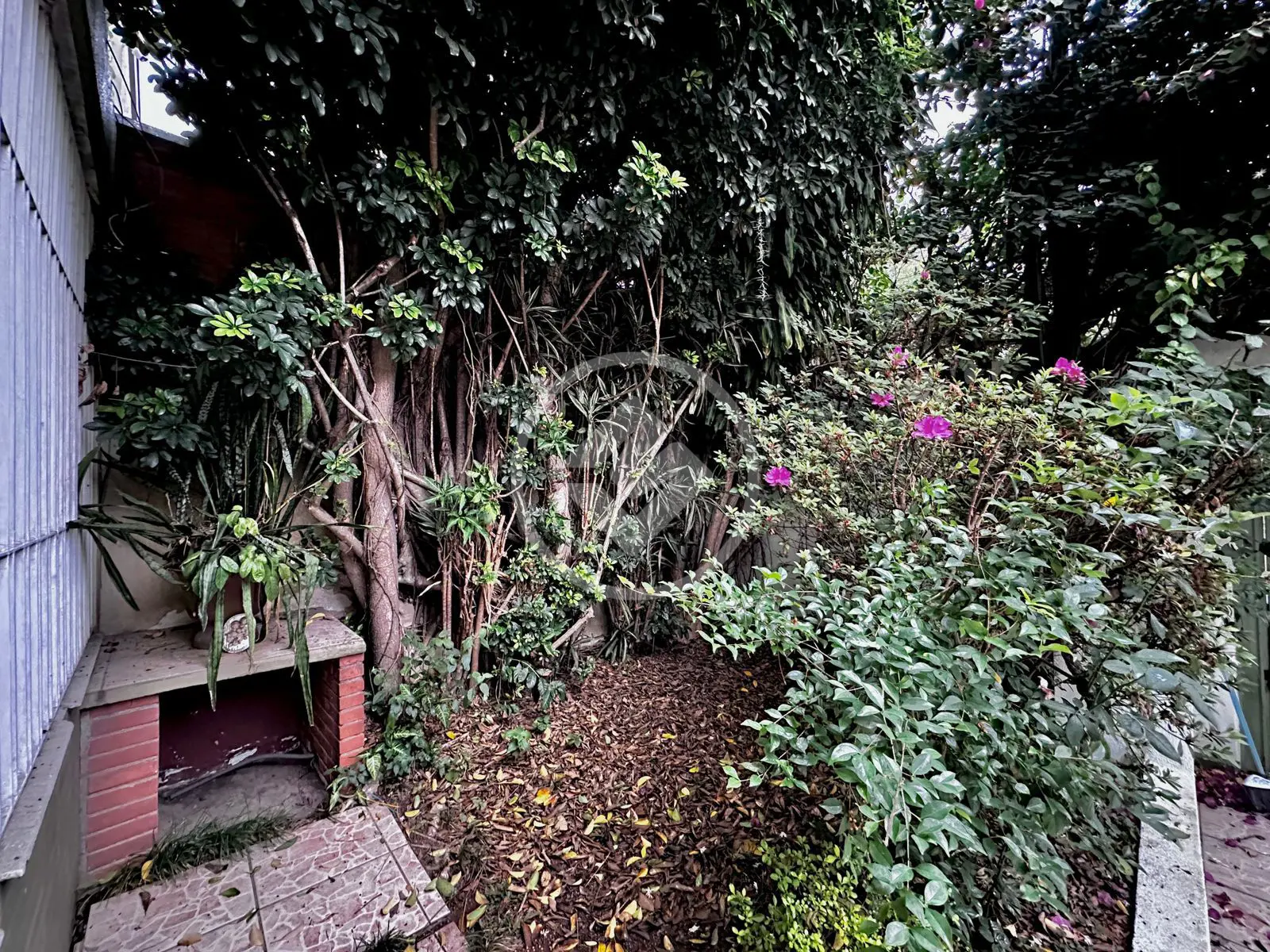 Imagem 4 - Casa em BROOKLIN PAULISTA, São Paulo - SP