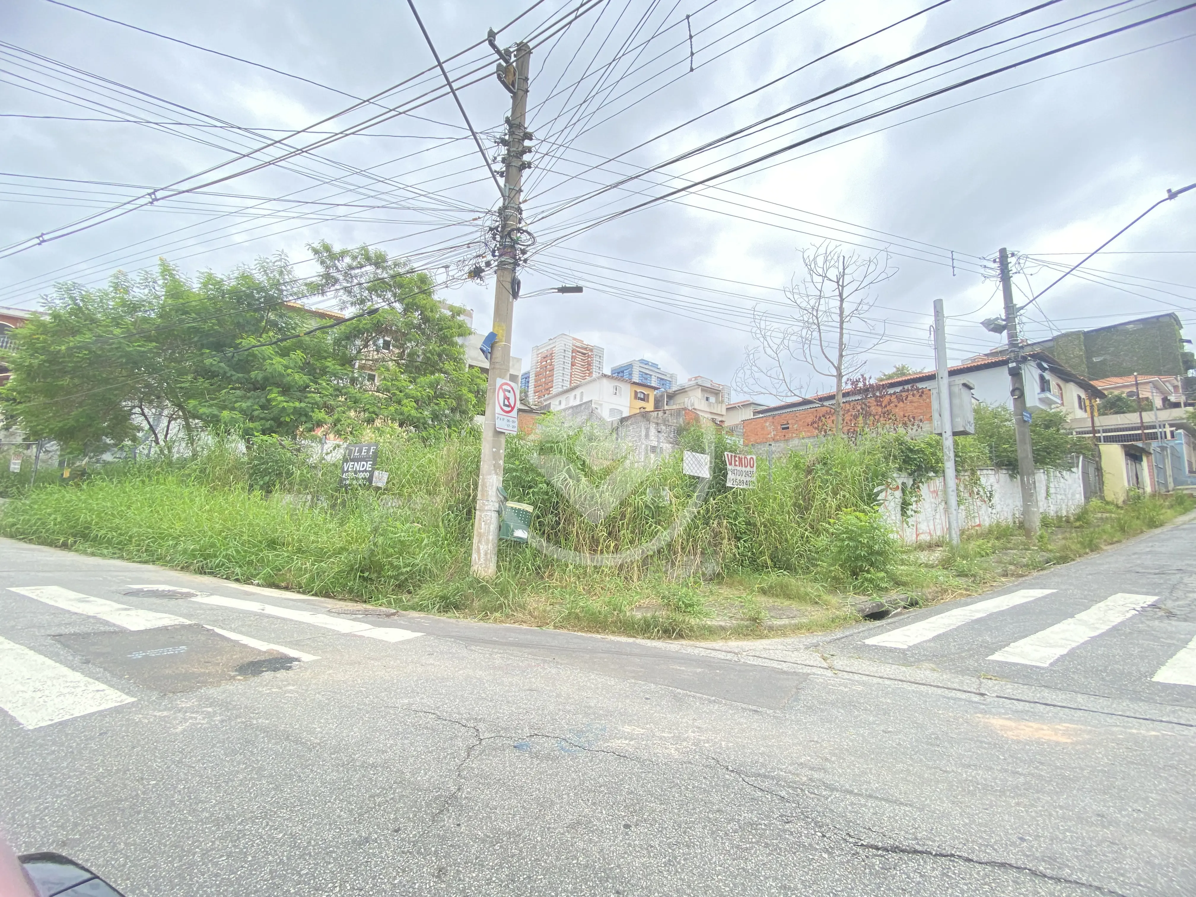 Imagem 3 - Terreno em Vila Morse, São Paulo - SP