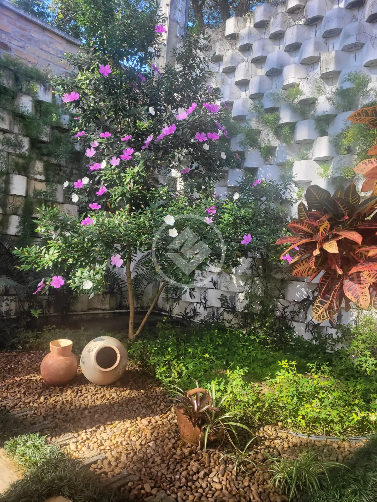 Imagem 6 - Casa em Indianópolis, São Paulo - SP