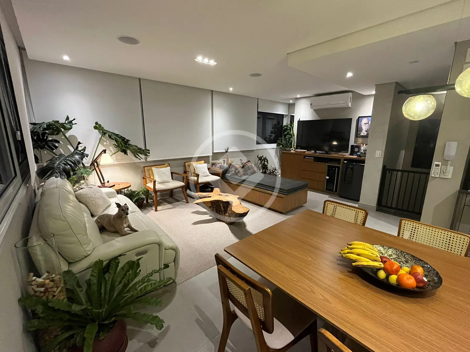 Imagem 5 - Cobertura Duplex em VILA IPOJUCA, São Paulo - SP