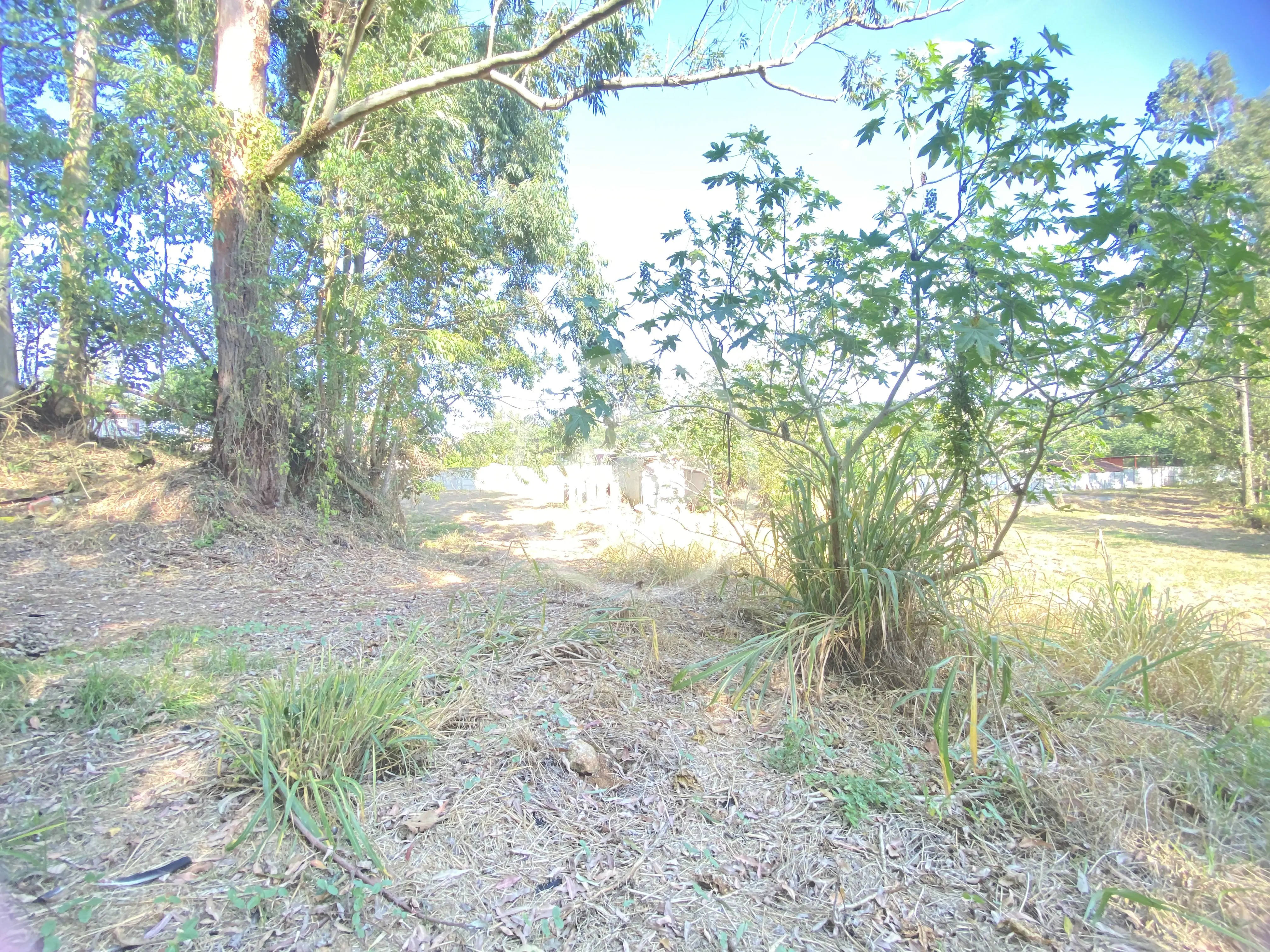 Imagem 6 - Terreno em Parque Dom Henrique, Cotia - SP