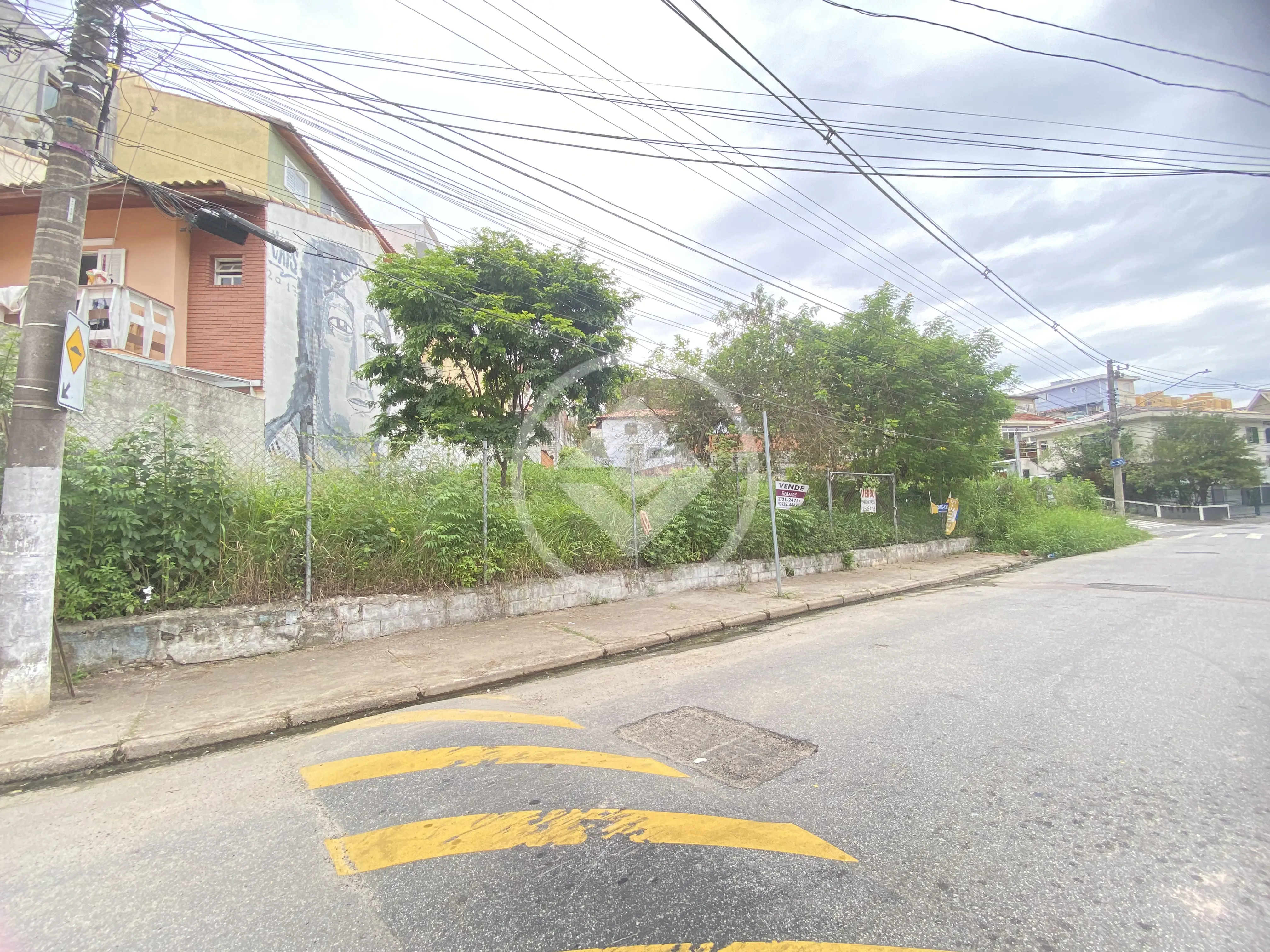 Imagem 1 - Terreno em Vila Morse, São Paulo - SP