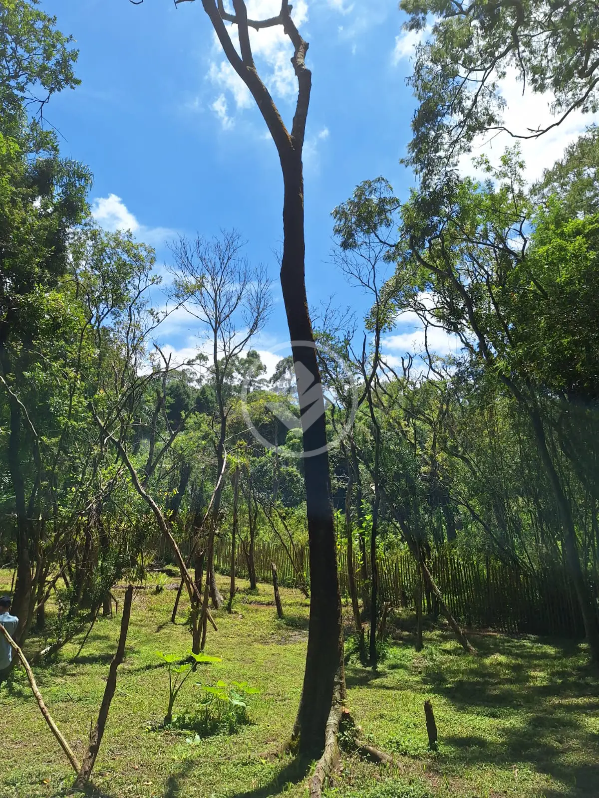 Imagem 6 - Terreno em Caete (Mailasqui), São Roque - SP