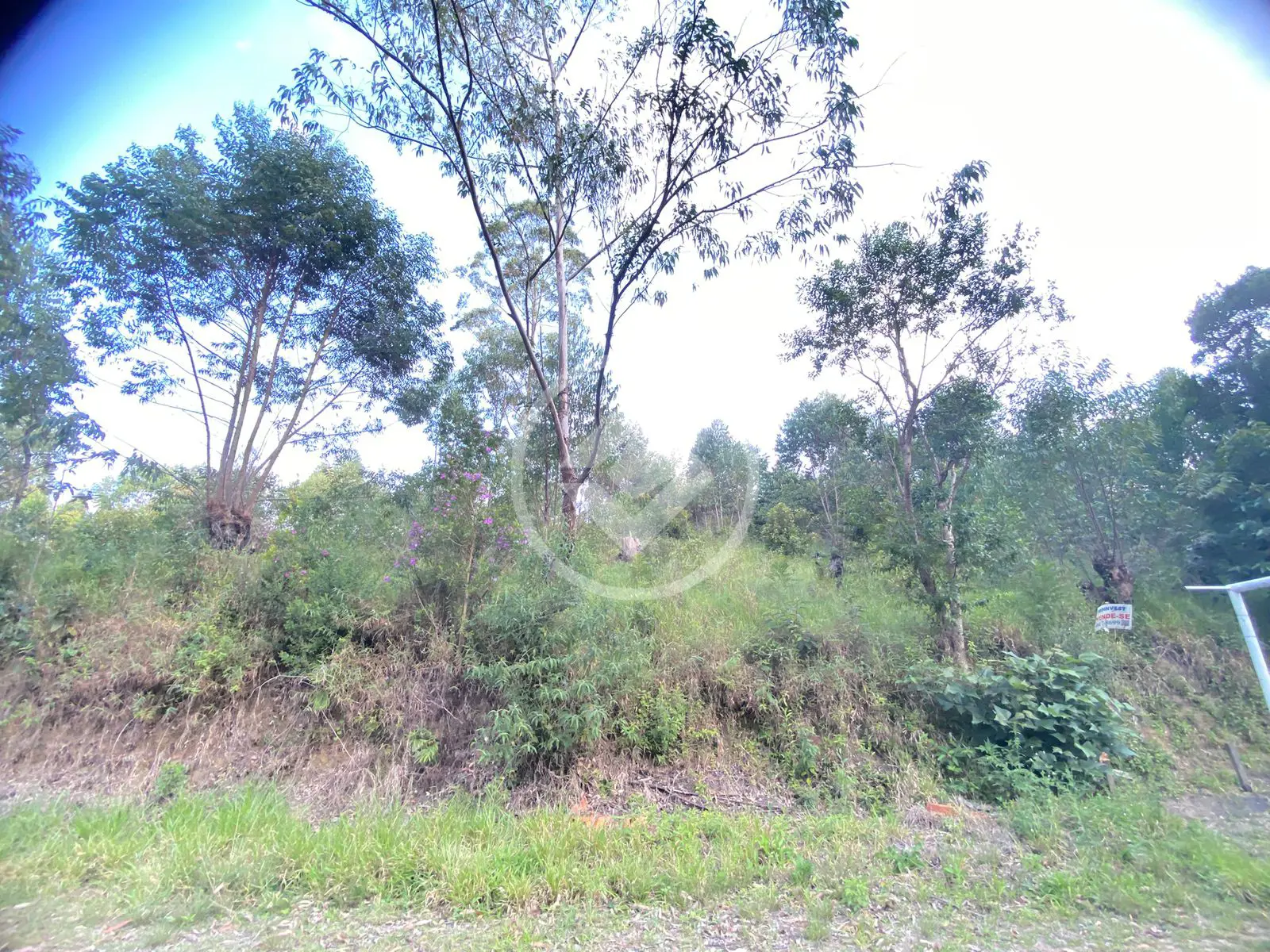 Imagem 4 - Terreno em Esmeralda Park (Caucaia do Alto), Cotia - SP